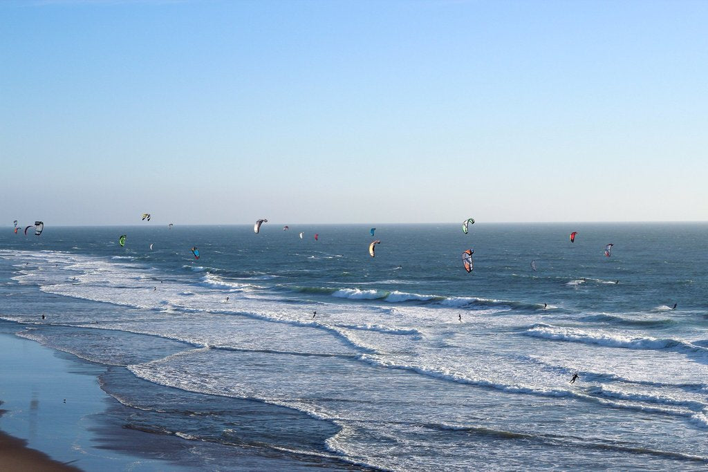 dozens of kite boarders on the shoreline in the ocean